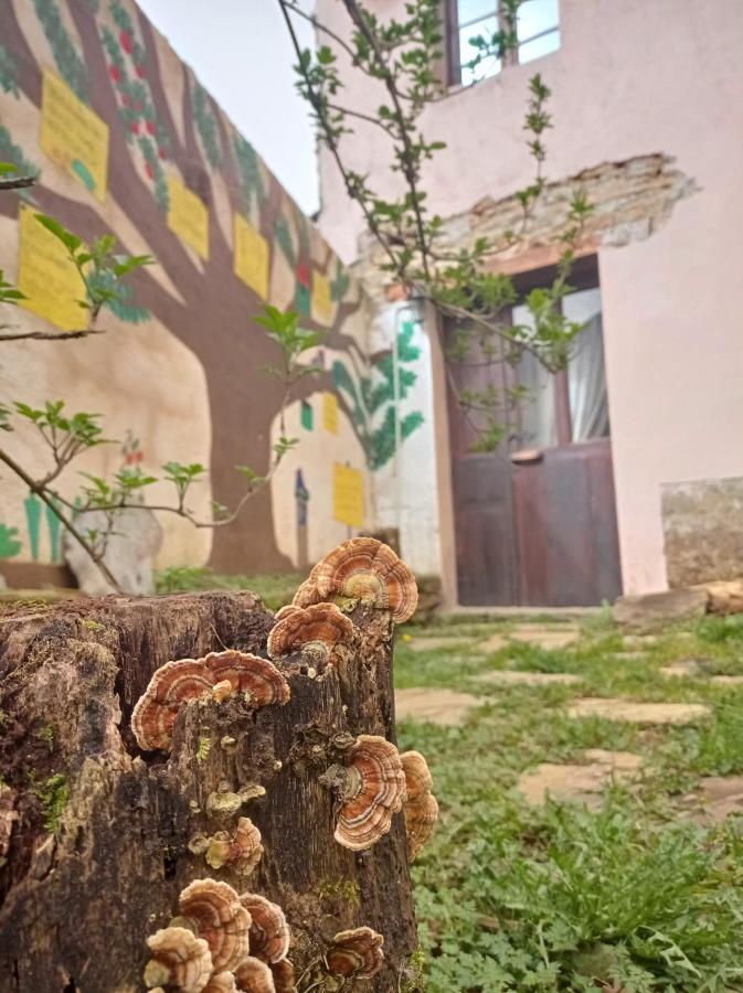Albergue Eco El Beso - Vegano Triacastela Exterior photo